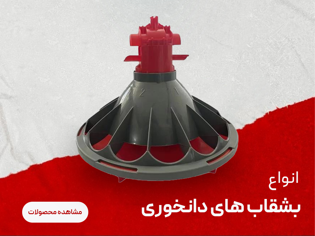 بنر 2