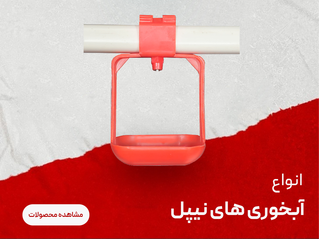 بنر 4